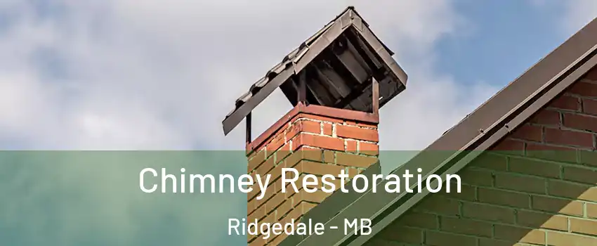  Chimney Restoration Ridgedale - MB