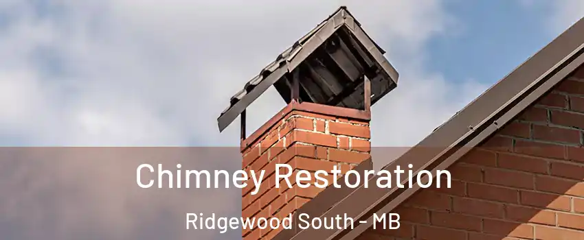  Chimney Restoration Ridgewood South - MB