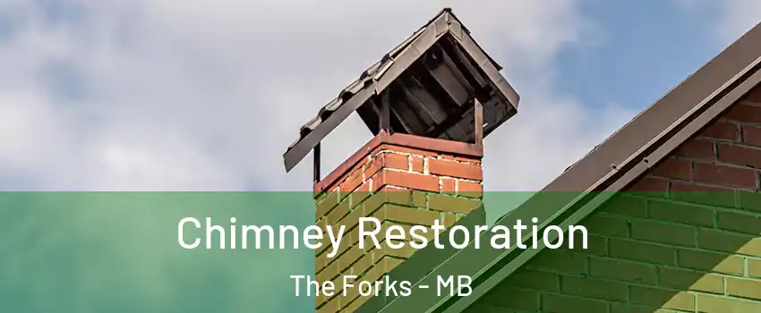  Chimney Restoration The Forks - MB