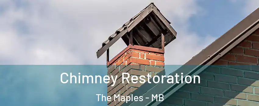  Chimney Restoration The Maples - MB