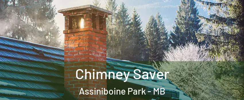  Chimney Saver Assiniboine Park - MB