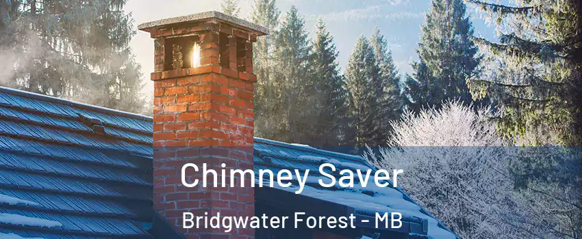  Chimney Saver Bridgwater Forest - MB