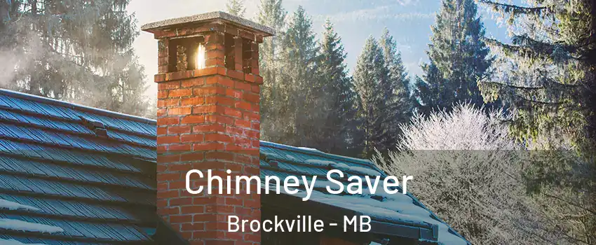  Chimney Saver Brockville - MB