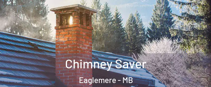  Chimney Saver Eaglemere - MB