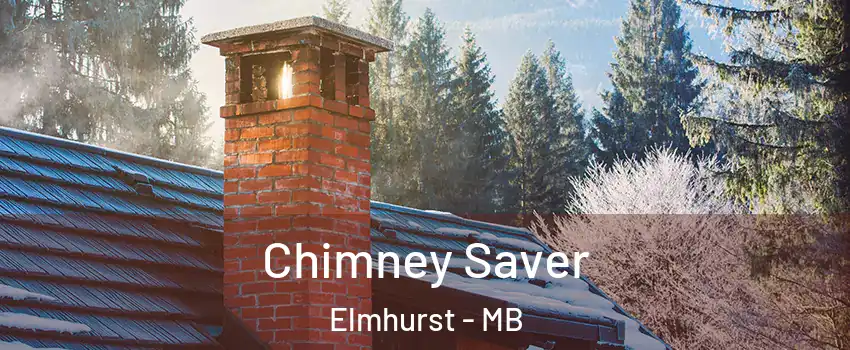 Chimney Saver Elmhurst - MB