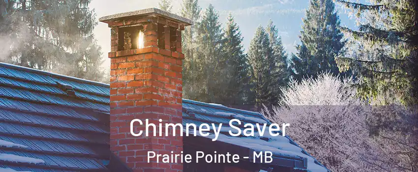  Chimney Saver Prairie Pointe - MB