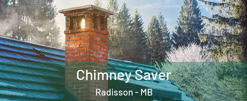  Chimney Saver Radisson - MB