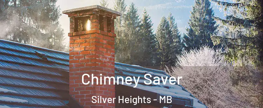  Chimney Saver Silver Heights - MB