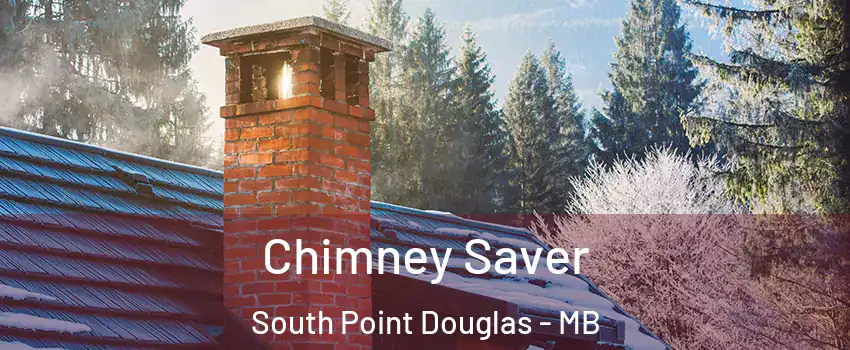  Chimney Saver South Point Douglas - MB