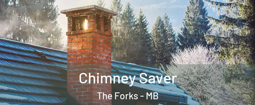 Chimney Saver The Forks - MB