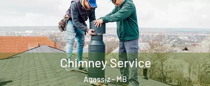  Chimney Service Agassiz - MB