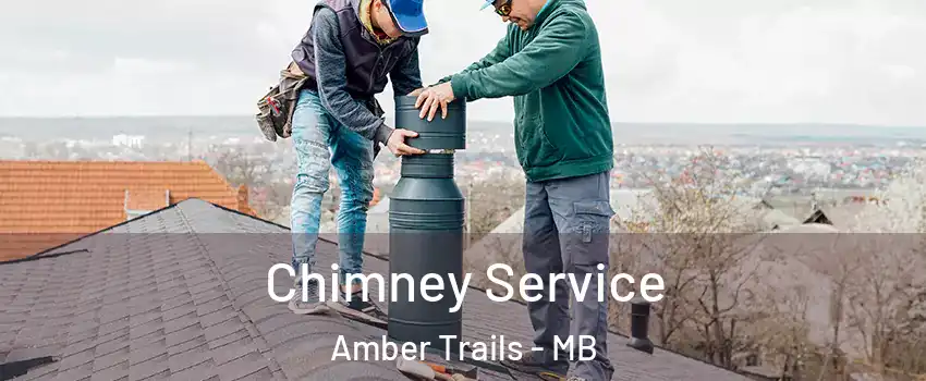  Chimney Service Amber Trails - MB