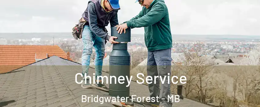  Chimney Service Bridgwater Forest - MB