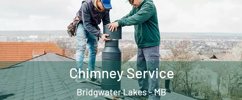  Chimney Service Bridgwater Lakes - MB
