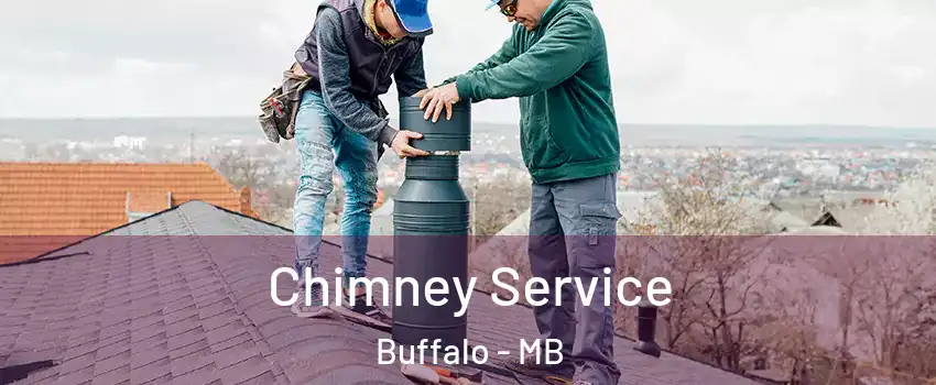  Chimney Service Buffalo - MB