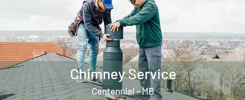  Chimney Service Centennial - MB