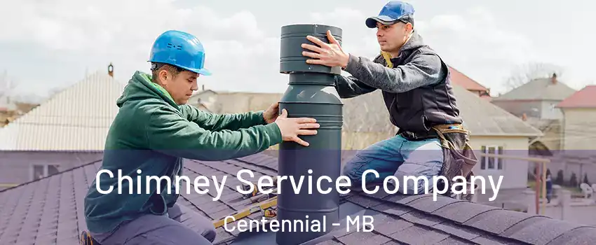  Chimney Service Company Centennial - MB
