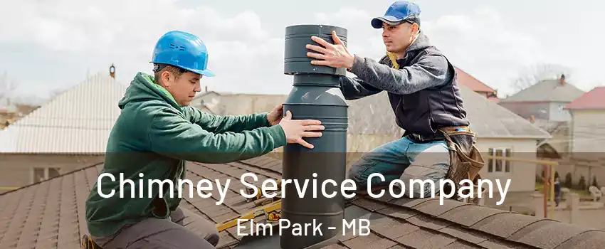  Chimney Service Company Elm Park - MB