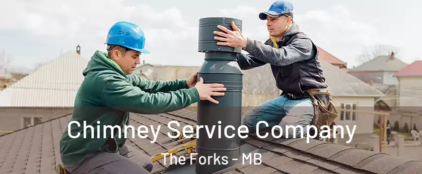  Chimney Service Company The Forks - MB