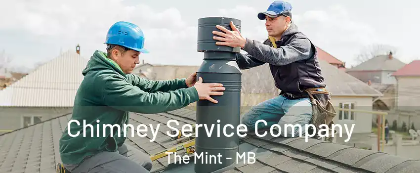  Chimney Service Company The Mint - MB
