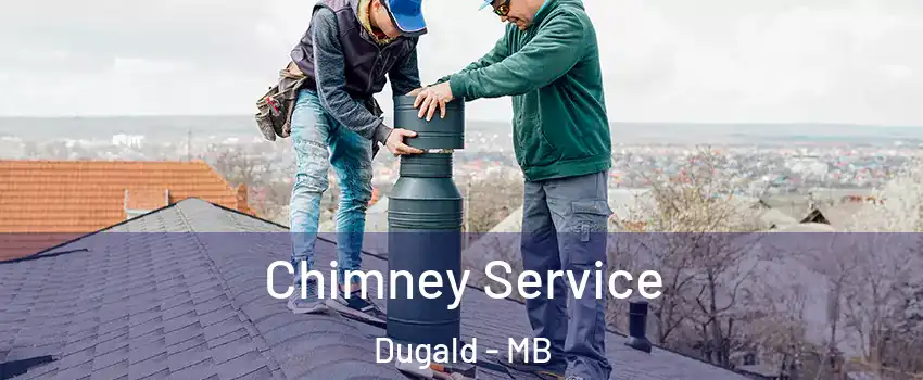  Chimney Service Dugald - MB