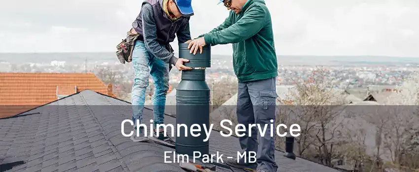  Chimney Service Elm Park - MB