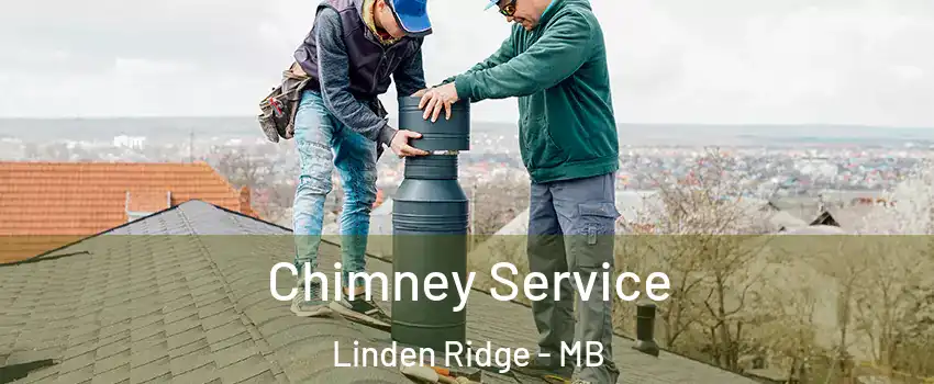  Chimney Service Linden Ridge - MB