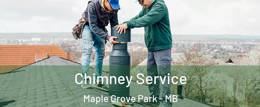  Chimney Service Maple Grove Park - MB