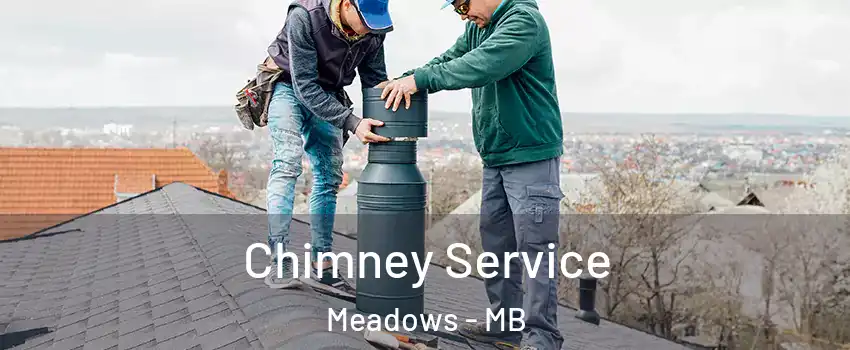  Chimney Service Meadows - MB
