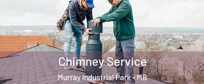  Chimney Service Murray Industrial Park - MB