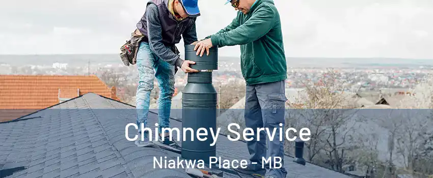  Chimney Service Niakwa Place - MB
