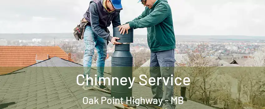  Chimney Service Oak Point Highway - MB