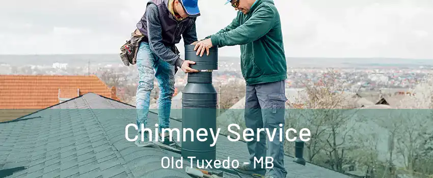  Chimney Service Old Tuxedo - MB