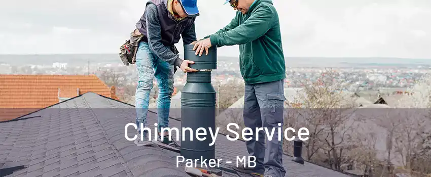 Chimney Service Parker - MB