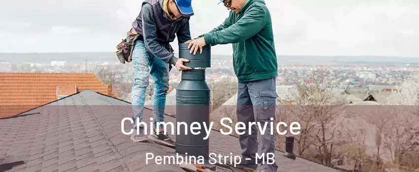  Chimney Service Pembina Strip - MB