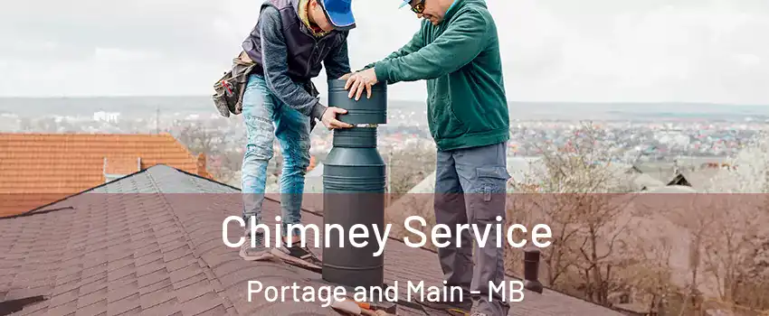  Chimney Service Portage and Main - MB