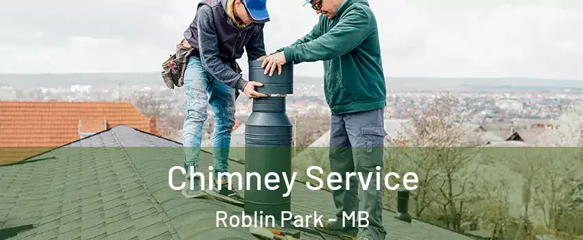  Chimney Service Roblin Park - MB