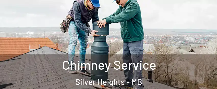  Chimney Service Silver Heights - MB