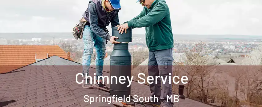  Chimney Service Springfield South - MB