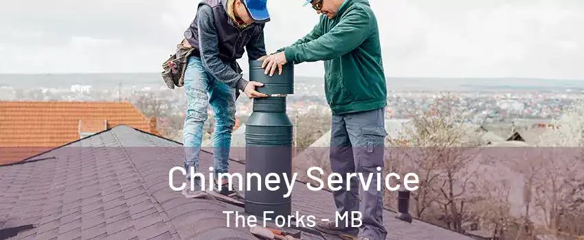  Chimney Service The Forks - MB