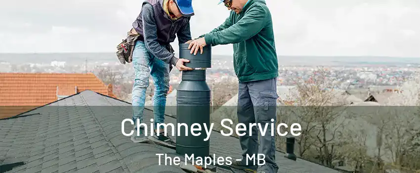  Chimney Service The Maples - MB