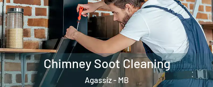  Chimney Soot Cleaning Agassiz - MB