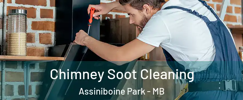  Chimney Soot Cleaning Assiniboine Park - MB