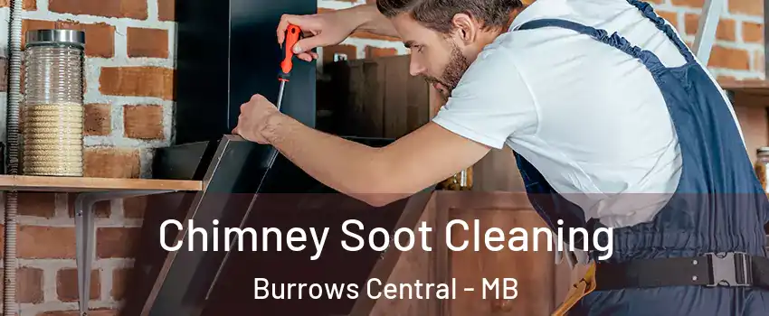  Chimney Soot Cleaning Burrows Central - MB