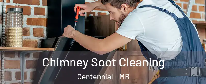  Chimney Soot Cleaning Centennial - MB