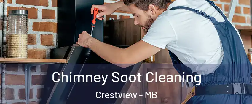  Chimney Soot Cleaning Crestview - MB