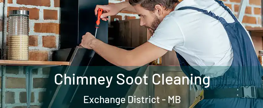  Chimney Soot Cleaning Exchange District - MB