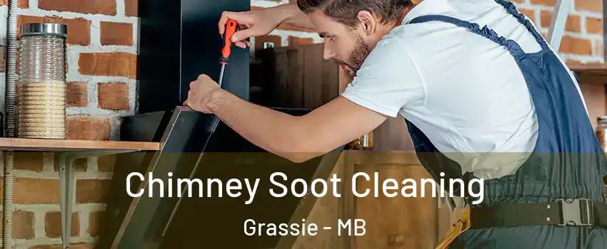  Chimney Soot Cleaning Grassie - MB