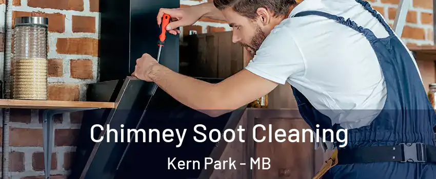  Chimney Soot Cleaning Kern Park - MB
