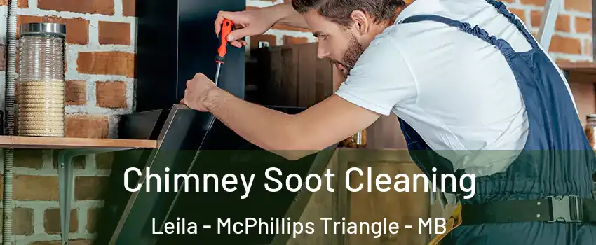  Chimney Soot Cleaning Leila - McPhillips Triangle - MB